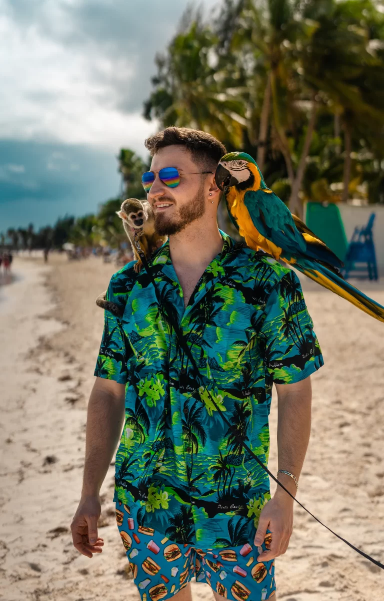 paradise parrot and monkey